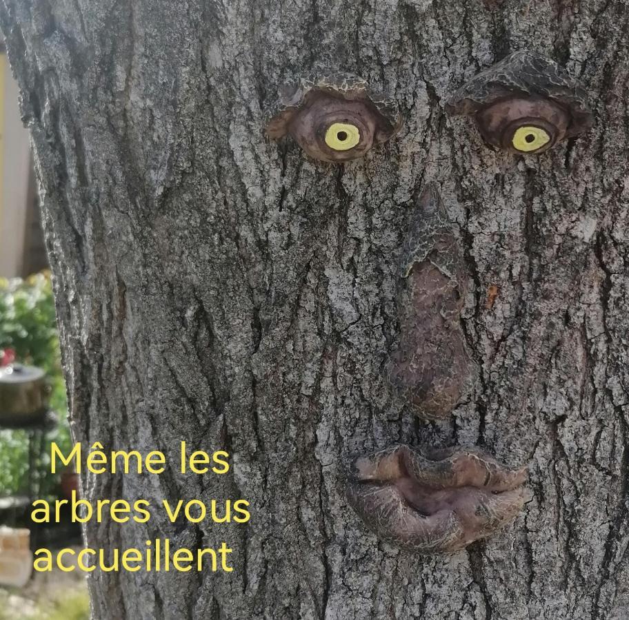 La Fee Viviane Et Michel L'Enchanteur Robion en Luberon Zewnętrze zdjęcie
