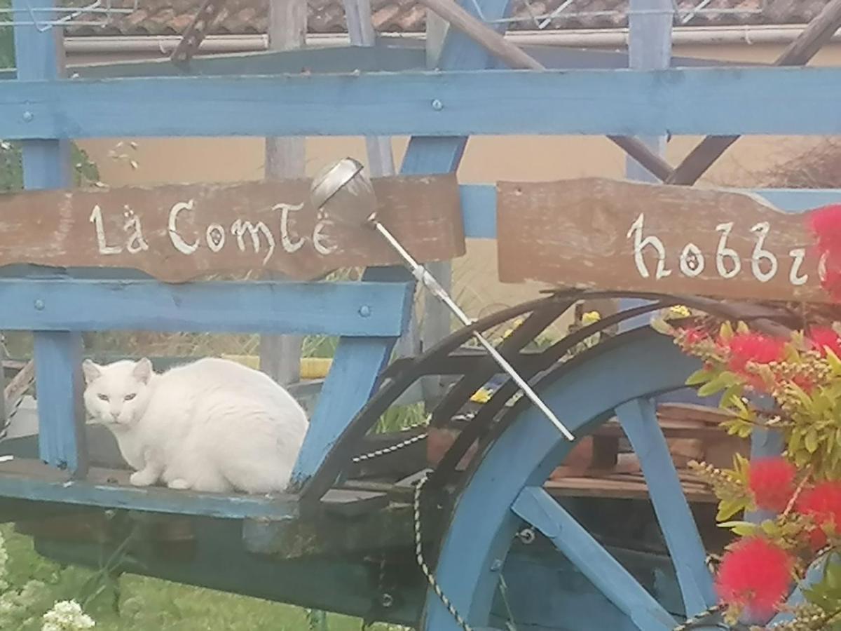 La Fee Viviane Et Michel L'Enchanteur Robion en Luberon Zewnętrze zdjęcie