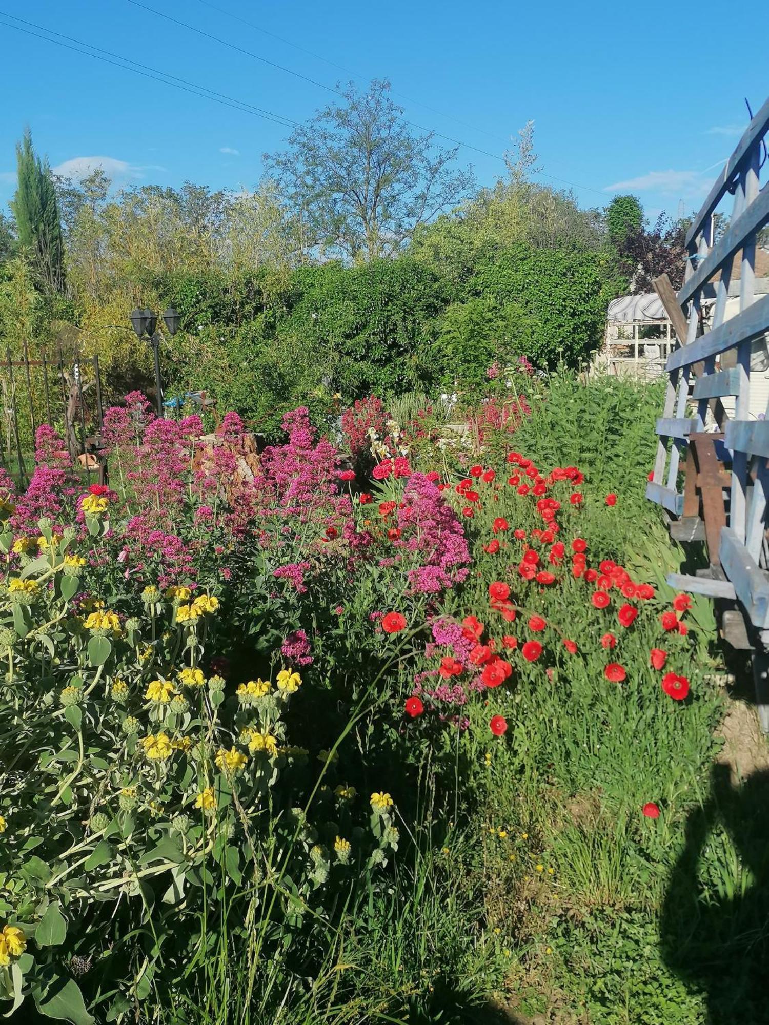 La Fee Viviane Et Michel L'Enchanteur Robion en Luberon Zewnętrze zdjęcie