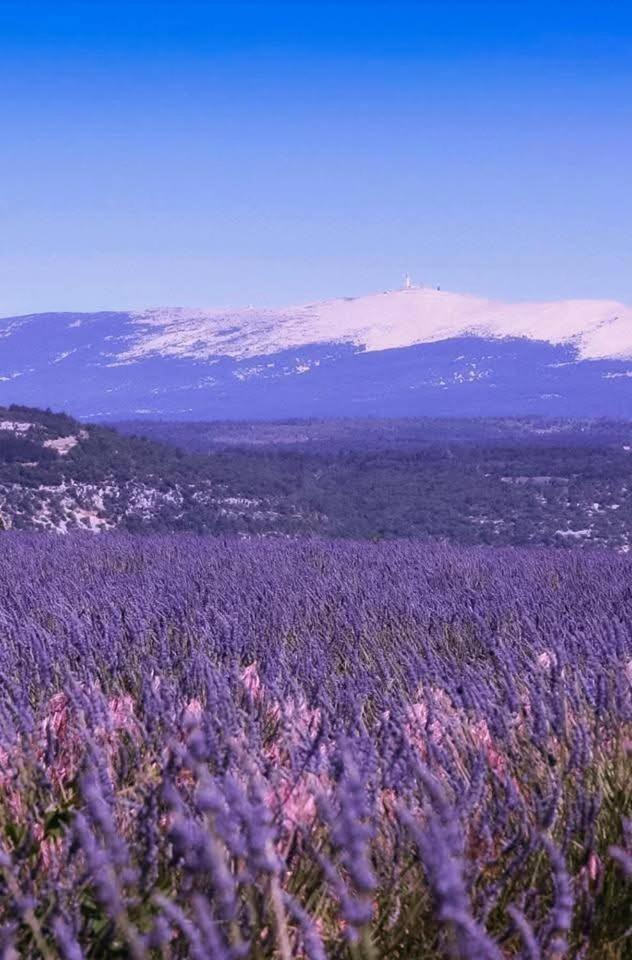 La Fee Viviane Et Michel L'Enchanteur Robion en Luberon Zewnętrze zdjęcie